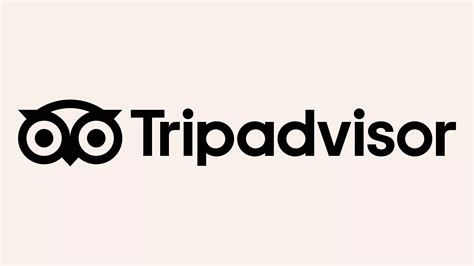 The Tripadvisor owl gets refined in rebrand by Mother .